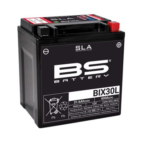 BS Battery BIX30L (FA) SLA - Sealed & Activated BS Battery BIX30L (FA) SLA - Sealed & Activated